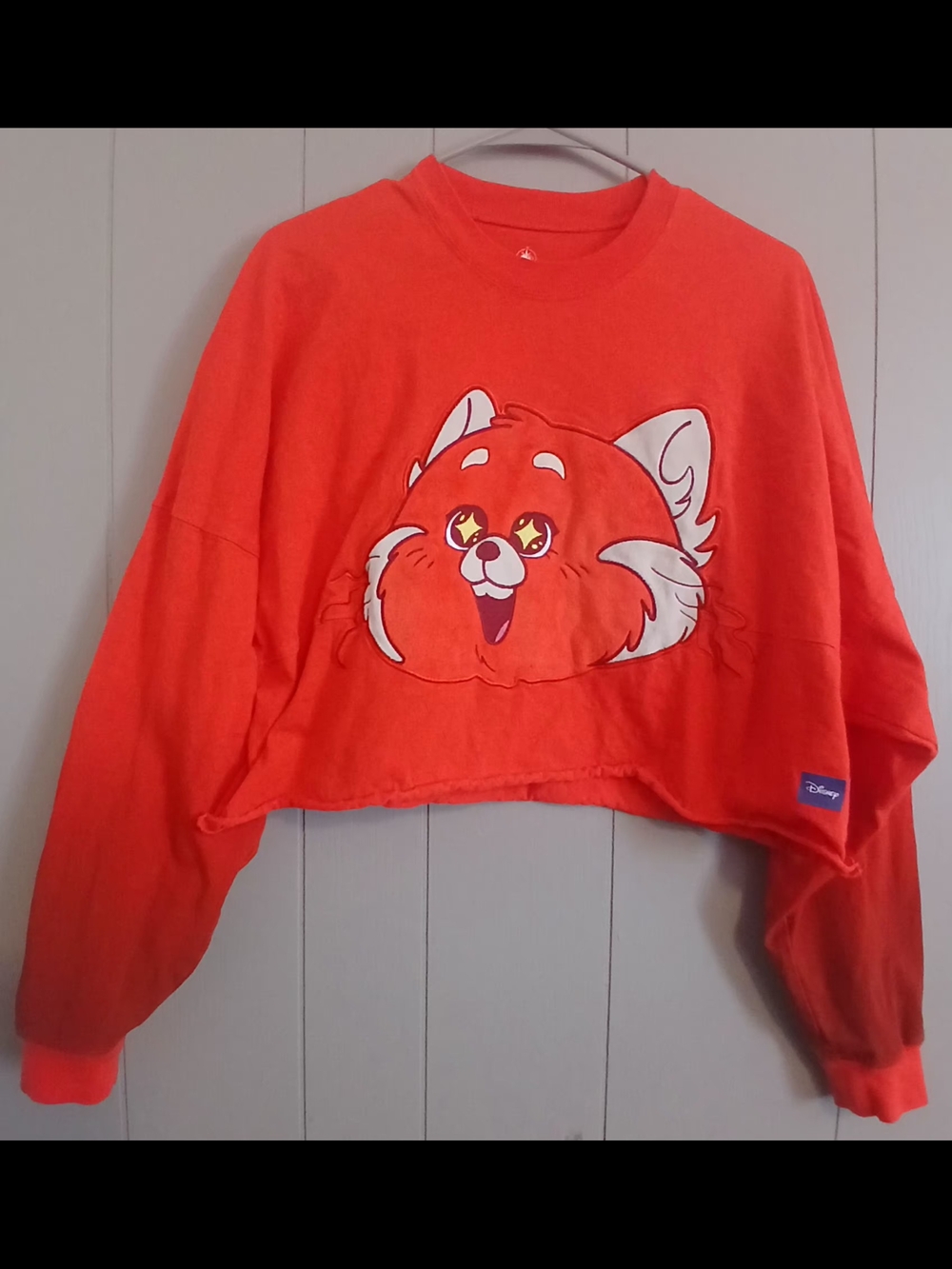 Disney Turning Red Womens Medium Spirit Jersey Top